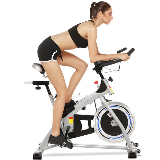 Heavy Duty Domestic Spin Bike (Crystal / Ancheer SJ-3373)
